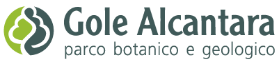 Gole Alcantara Logo