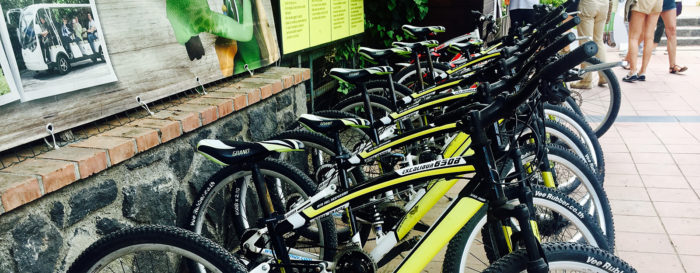 Bike Tour